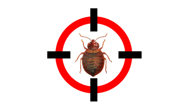 Pest Control ticks in Mauritius